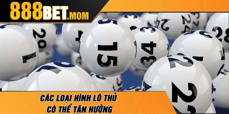Các Loại Hình Lô Thủ Có Thể Tận Hưởng