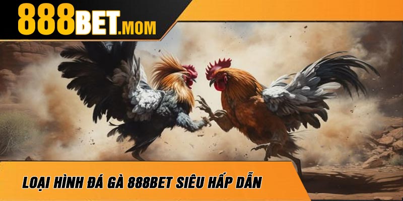 Loại Hình Đá Gà 888Bet Siêu Hấp Dẫn