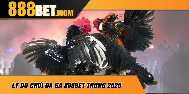 Lý Do Chơi Đá Gà 888Bet Trong 2025